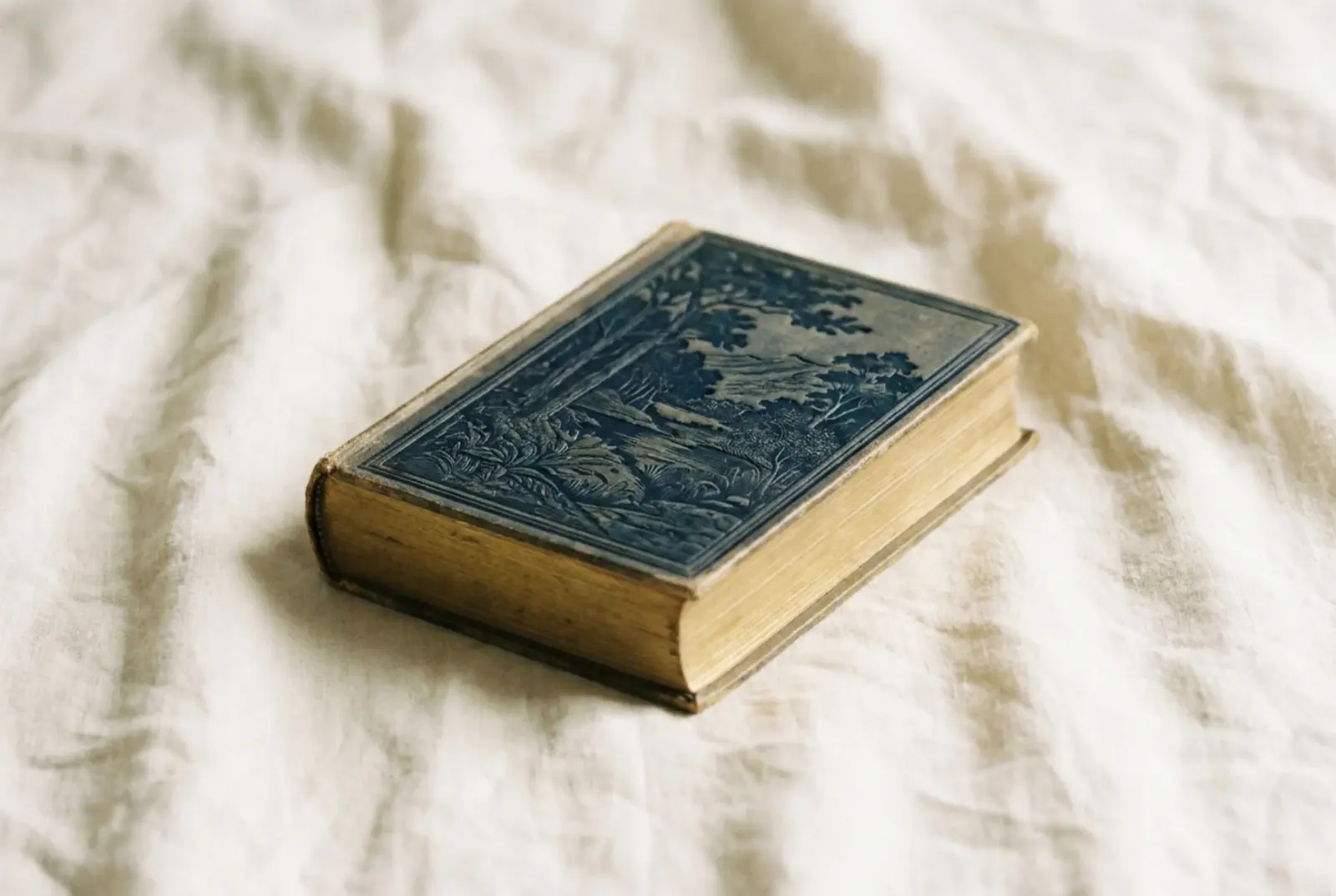 A single sundayfawn hardcover storybook resting on a quiet wooden desk, matte-printed cover catching low afternoon light.